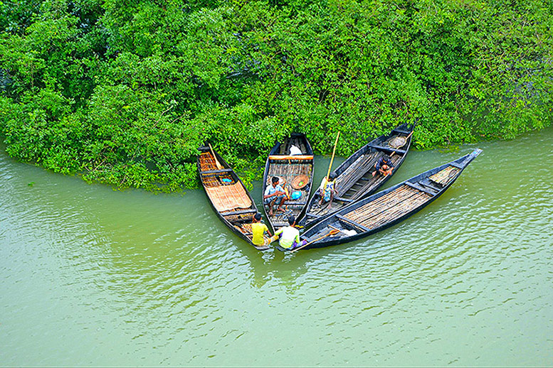 Mangrove estuaries in Bangladesh
