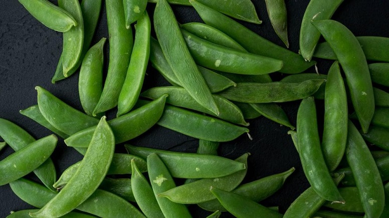 Soy-based diets