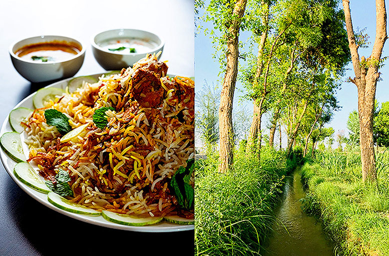 Karachi Cuisine