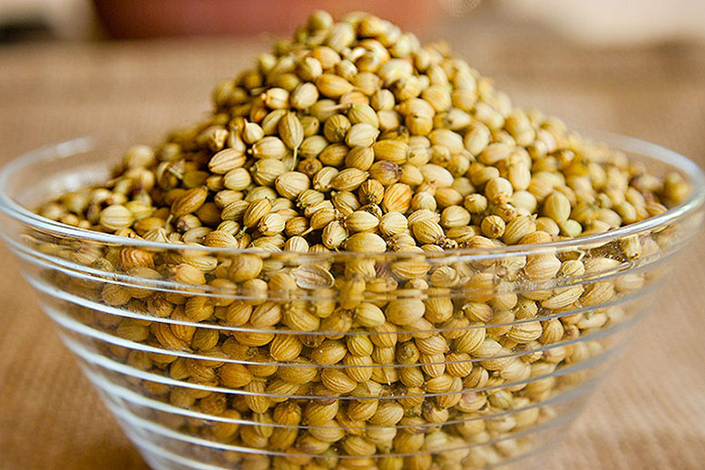 Coriander Seeds - Dhania