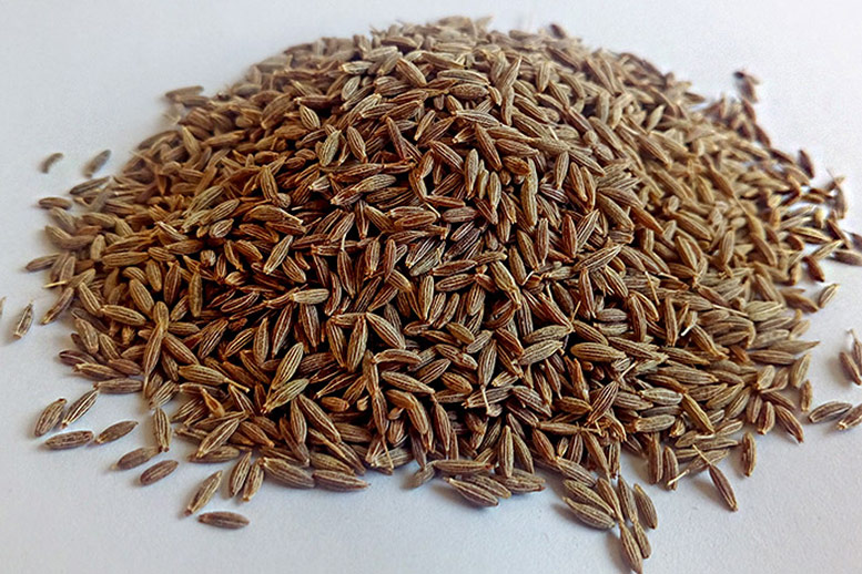 Cumin Seeds - Zeera