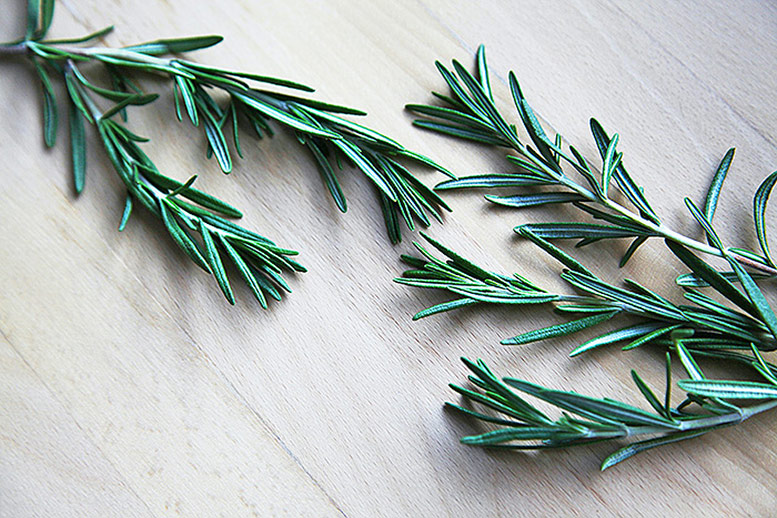 Rosemary 