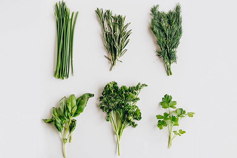 Types of Herbs