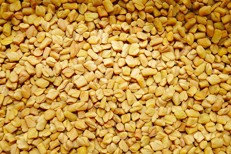 Fenugreek Seeds - Methi