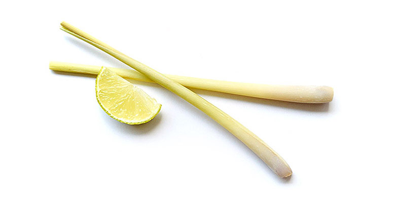 Lemongrass root