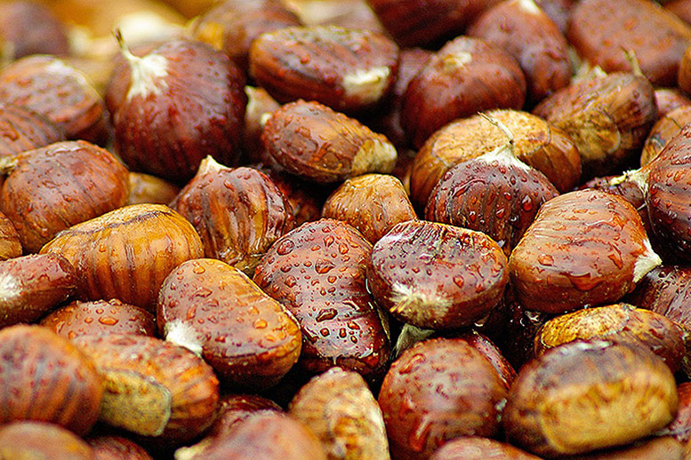 Chestnuts