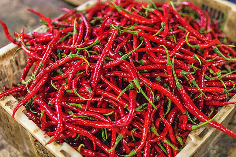 Red Chilli - Lal Mirch