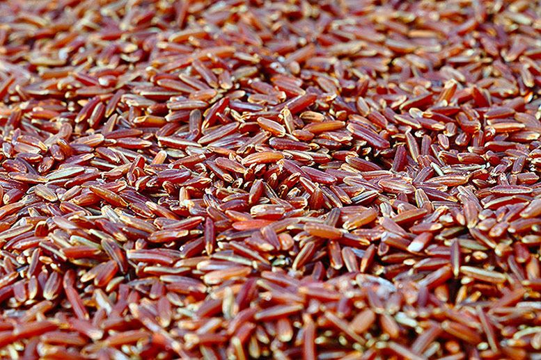Red Rice
