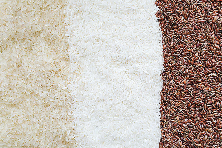 Types of Rice