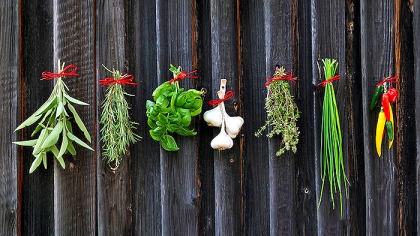15 Types of Herbs and Their Uses