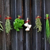 15 Types of Herbs and Their Uses