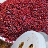 All You Need To Know About Sumac